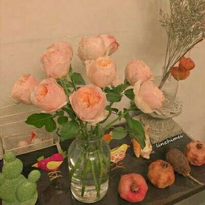 竞彩足球app官方