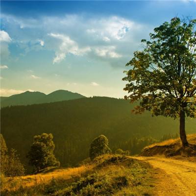 大众彩票入口welcome手机app下载