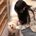 BSportAPP在线登录